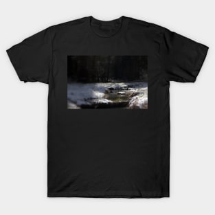 snowy Oregon forest, fox creek 11 T-Shirt